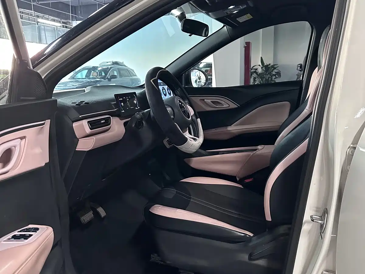 BYD Seagull 2023 Vitality Edition фото 7