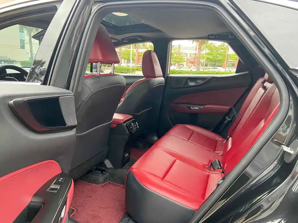 Lexus NX 2023 2023 260 FWD Joy Creation Edition