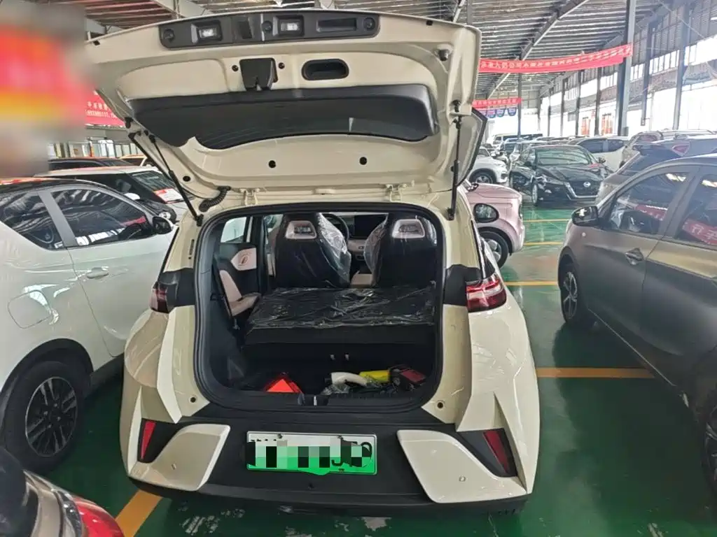 BYD Seagull 2026 2025 Smart Drive Edition 305km Vitality Version