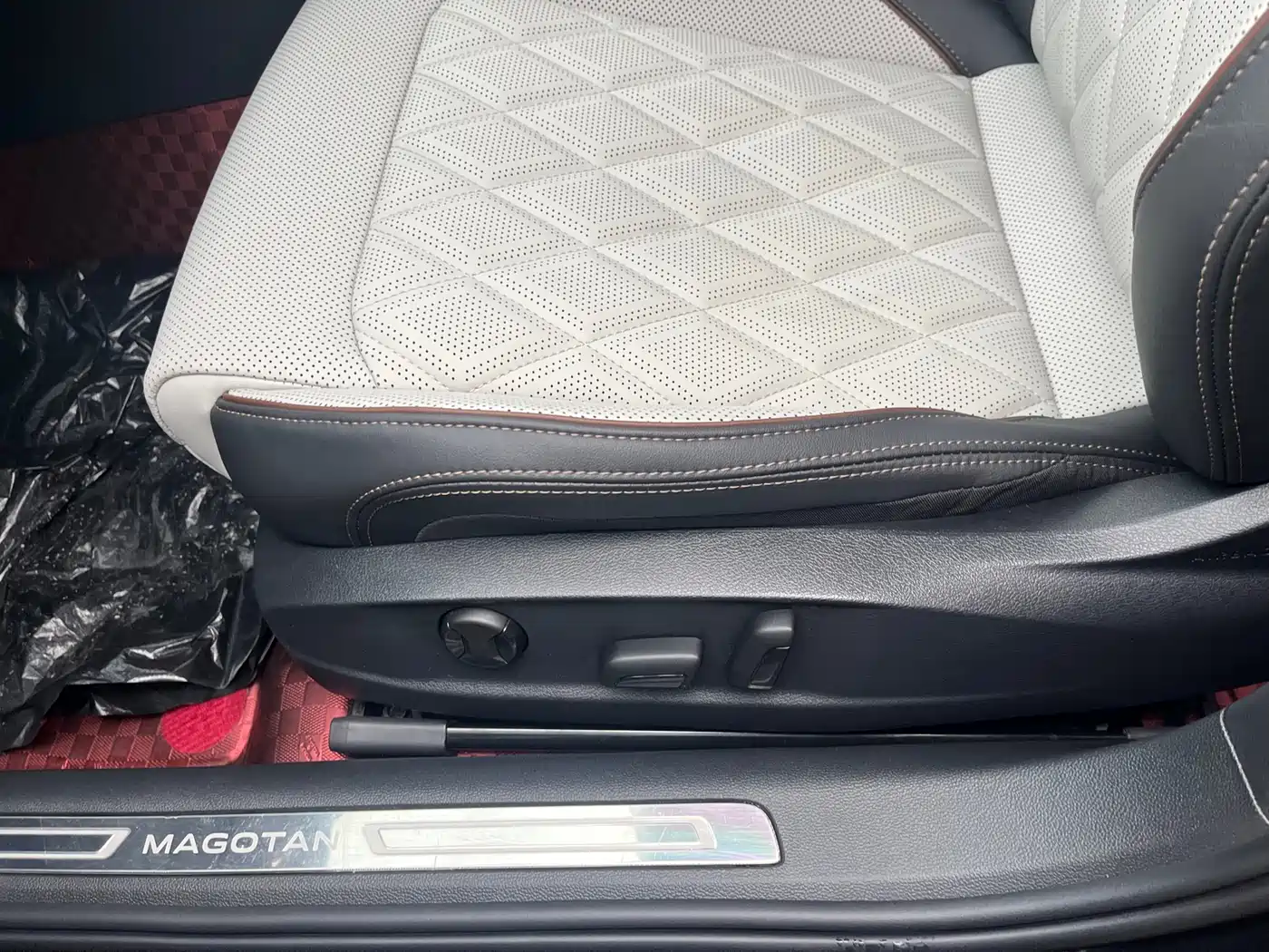 Volkswagen Magotan 2025 Popular Edition 330TSI DSG Luxury фото 14