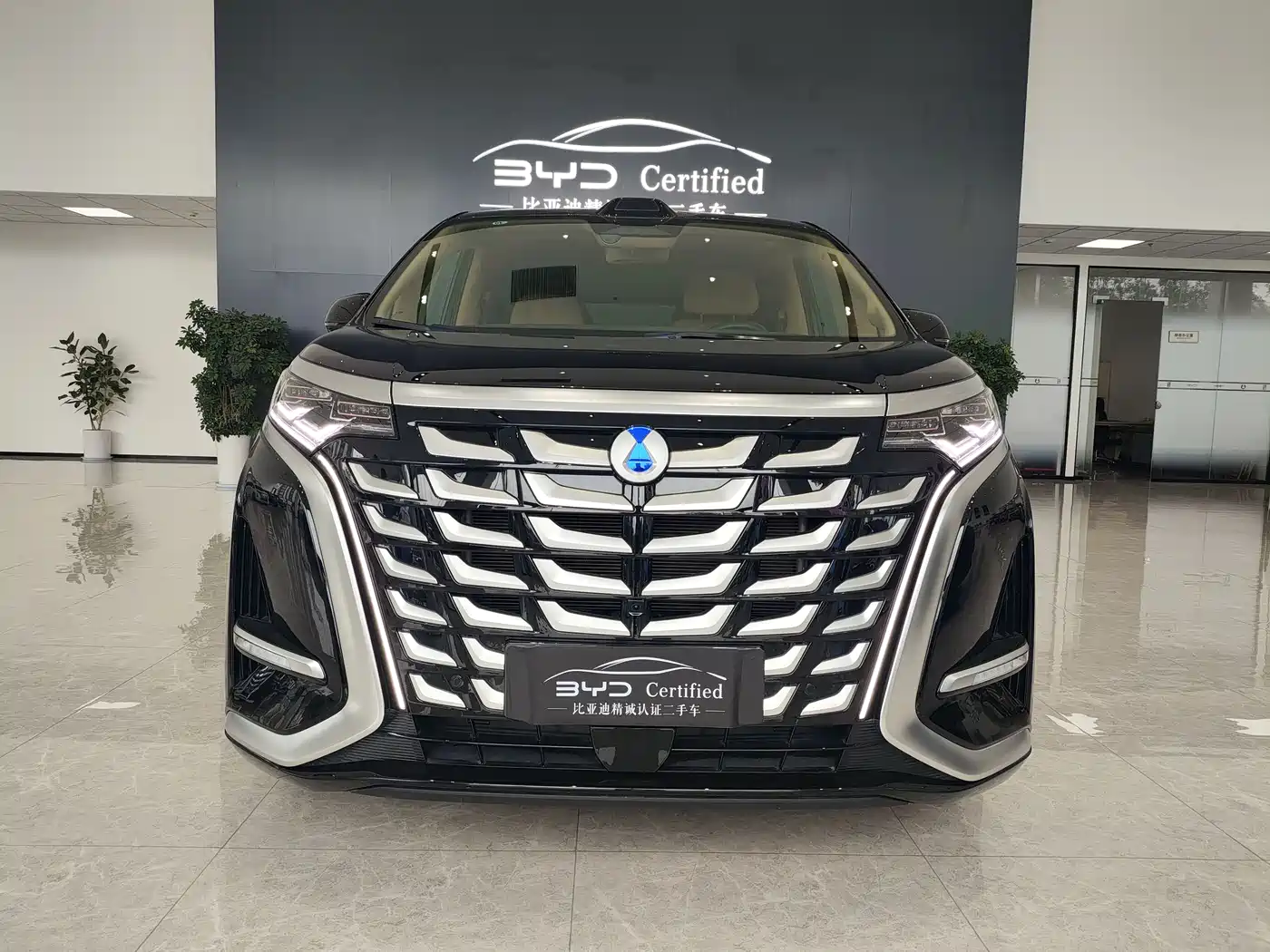 Denza D9 2025 Model DM-i Smart Drive Edition 1020 AWD Flagship фото 2