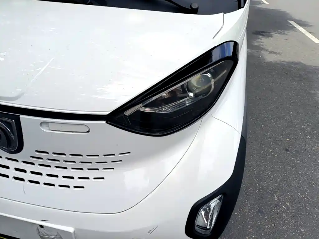 Baojun E100 2020 2019 250KM Smart Plus Edition