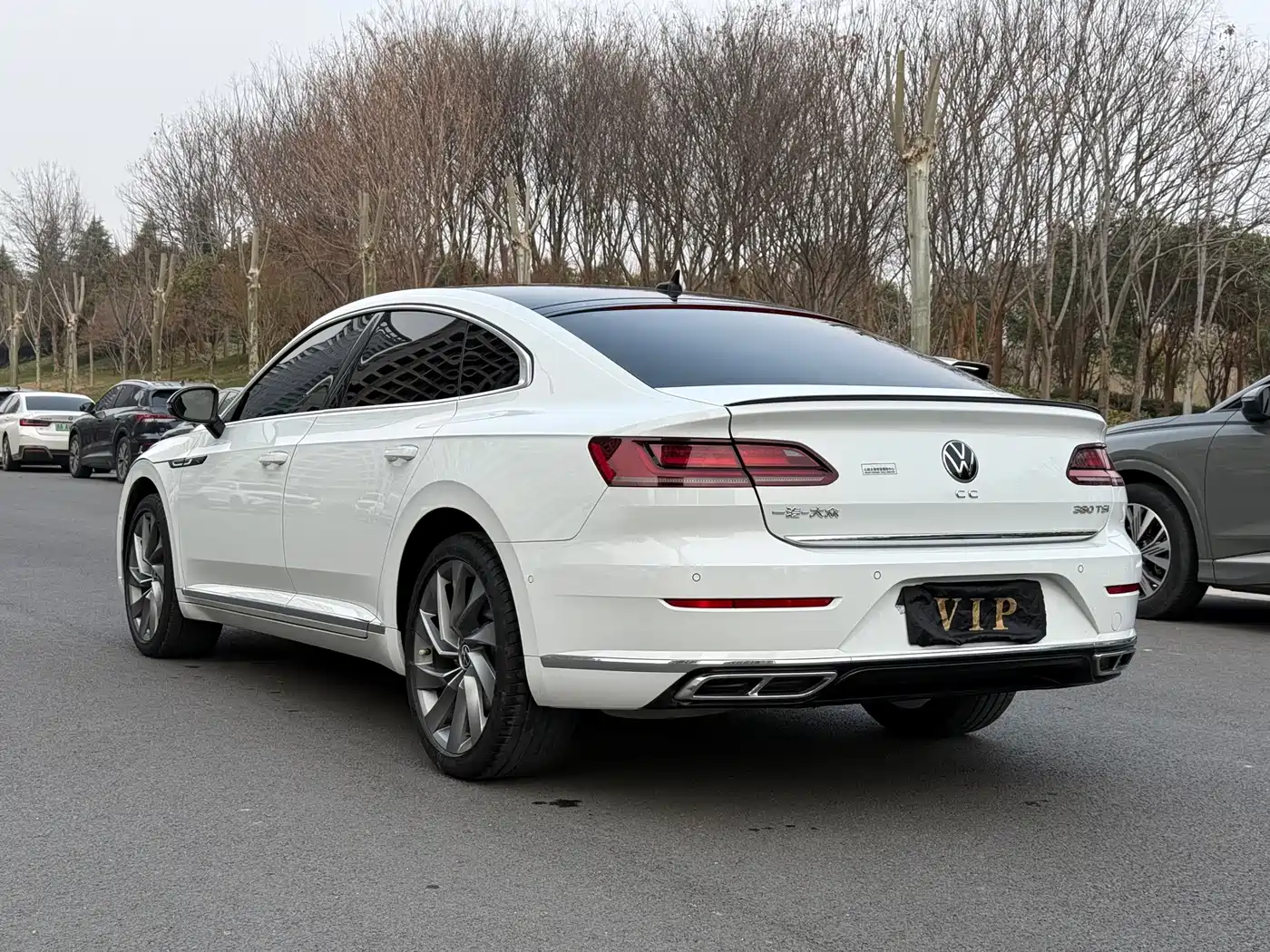 VOLKSWAGEN FAW  CC