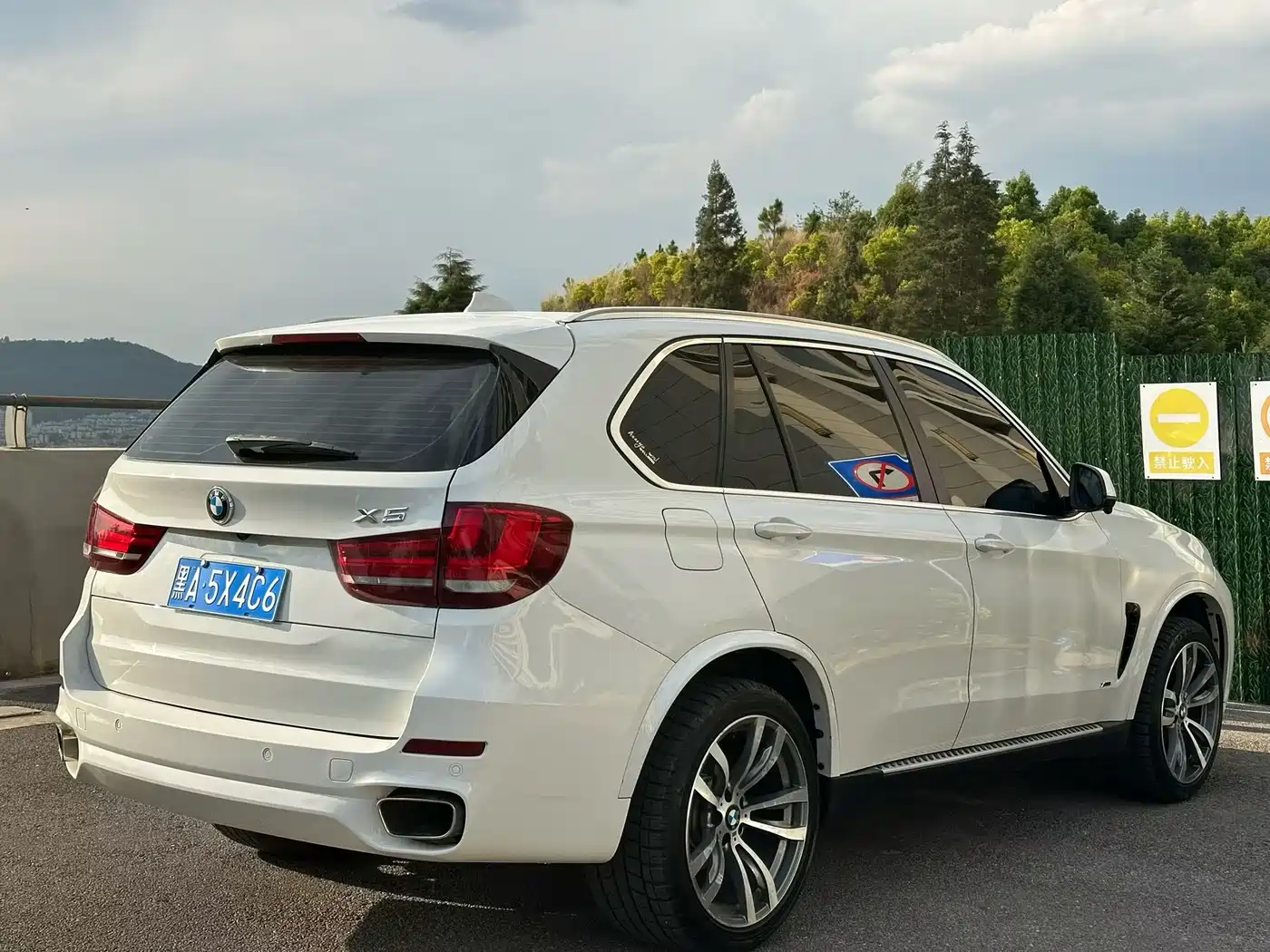 BMW X5 (Import) 2018 xDrive35i Premium Model фото 9