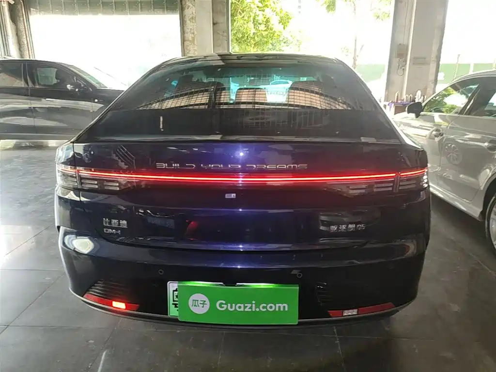 BYD Destroyer 05 2024 Glory Edition DM-i 55KM Luxury фото 6