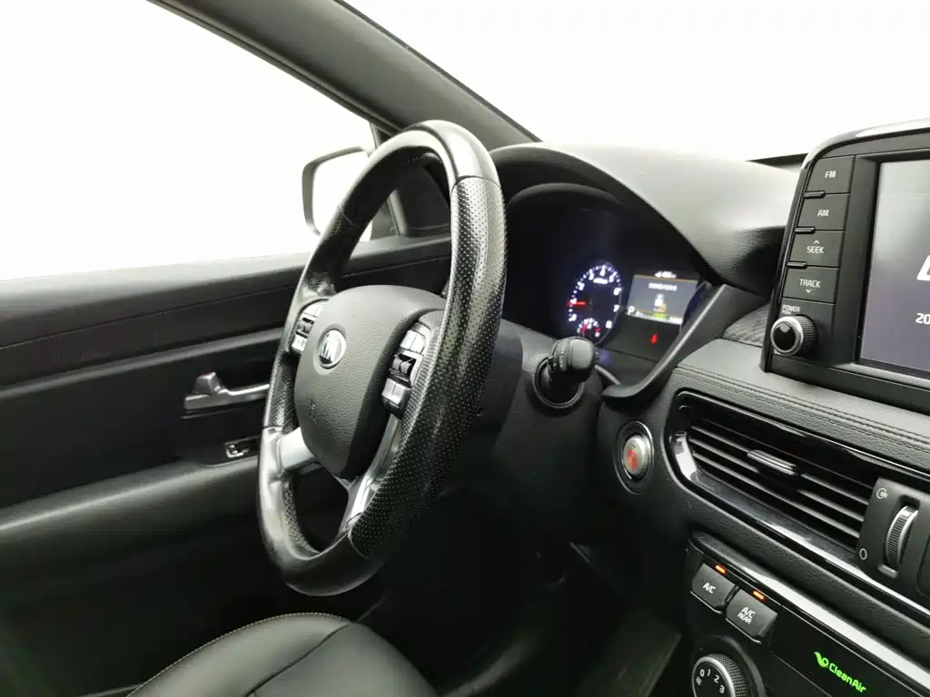 Kia KX7 2017 2017 2.0T Automatic 4WD DLX 7-Seater