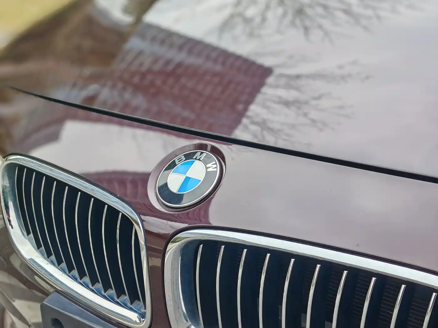 BMW 3 Series 2017 320Li Luxury Design Package фото 17
