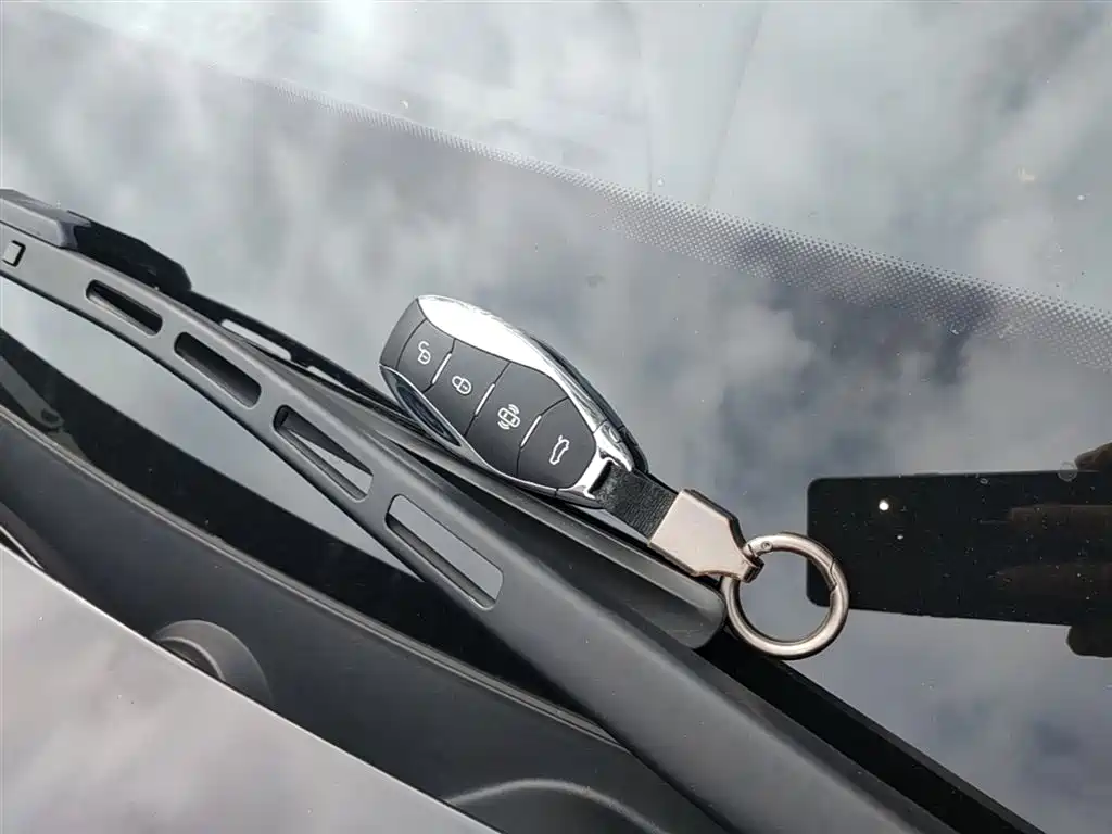Hongqi H5 2024 2.0T Automatic Smart Connect Flag Smooth Edition фото 9