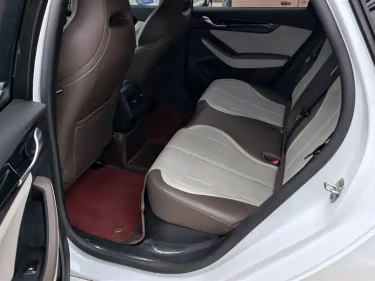 BYD Qin PLUS 2024 Glory Edition DM-i 55KM Leading фото 8