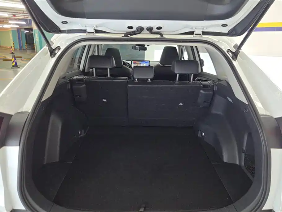 Toyota RAV4 Rongfang 2021 2.0L CVT 2WD Trend PLUS фото 4