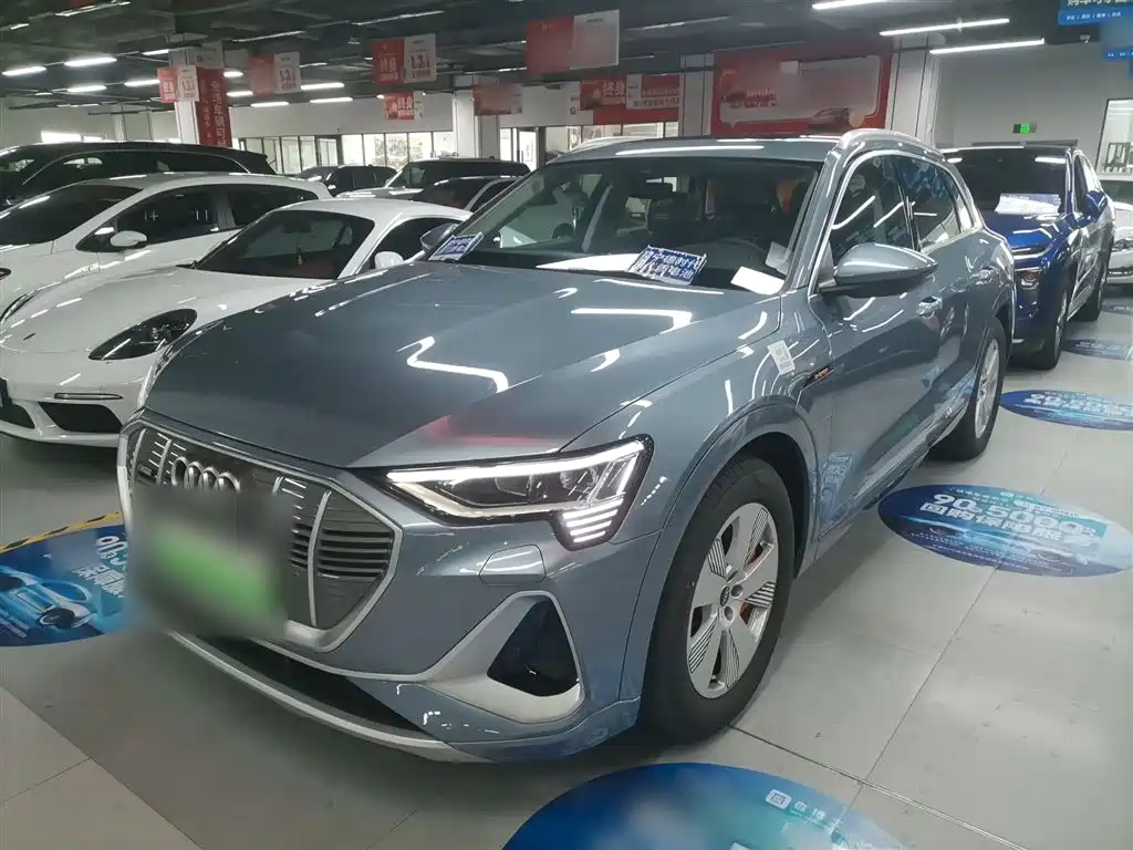 Audi e-tron 2021 50 quattro Luxury фото 2