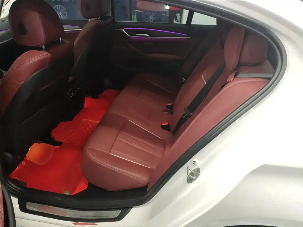 BMW 5 Series 2023 530Li Leading Luxury Package фото 17