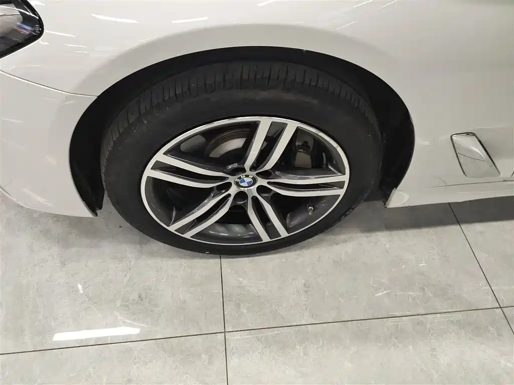 BMW 5 Series 2023 530Li Leading Luxury Package фото 23
