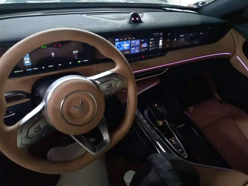 Voyah Auto VOYAH FREE 2021 AWD Standard Range Extender Exclusive Luxury Package фото 12