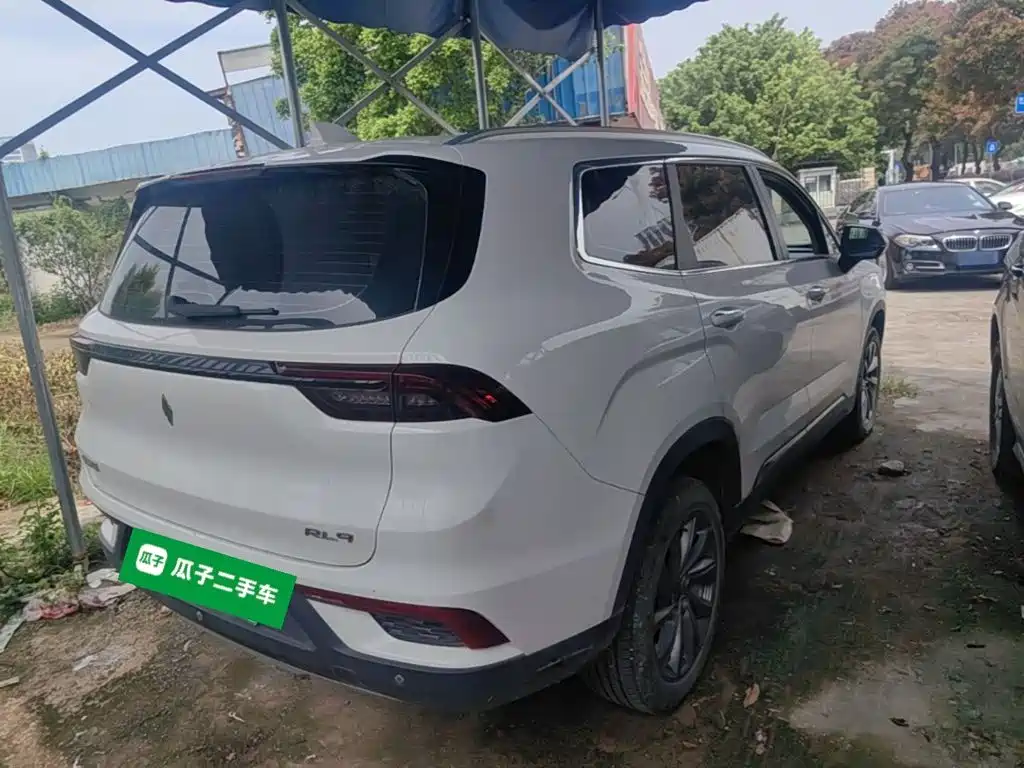 Ruilan Auto Ruilan 9 2024 2023 470km Executive Version
