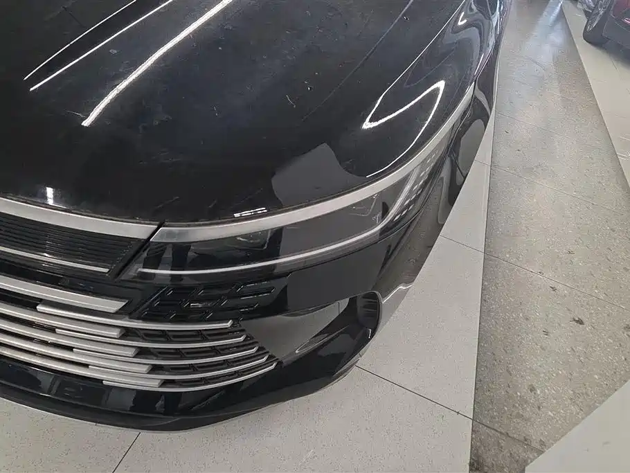 BYD Destroyer 05 2024 Glory Edition DM-i 55KM Luxury фото 5