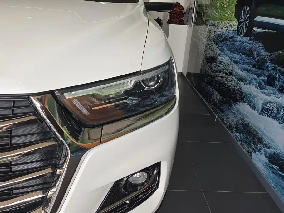 Haval Haval H6 2021 Model 1.5T Automatic Champion Edition 5