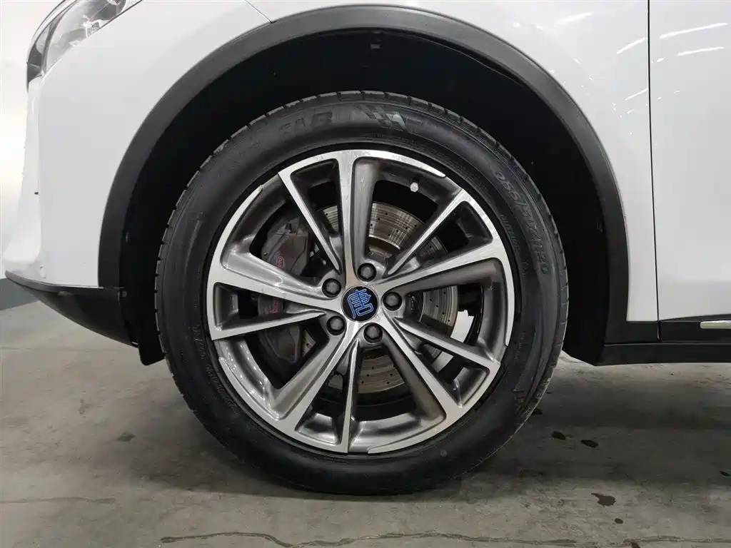 BYD Tang New Energy 2019 DM 2.0T AWD Intelligent Sharing Creation 7-seater China VI фото 17