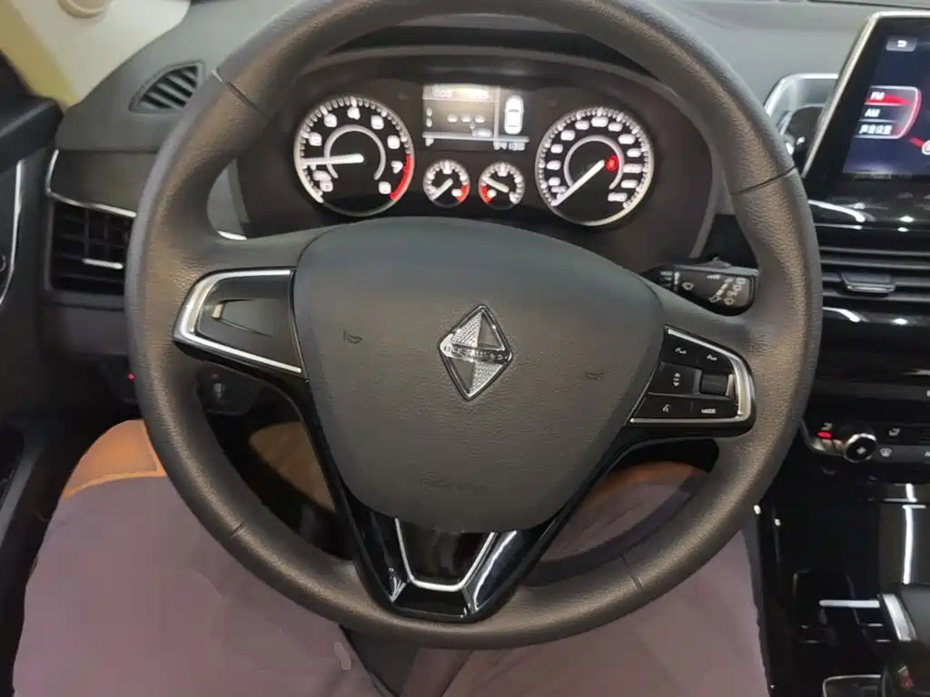 Borgward BX5 2021 2020 20TGDI Automatic 2WD New Trend Edition