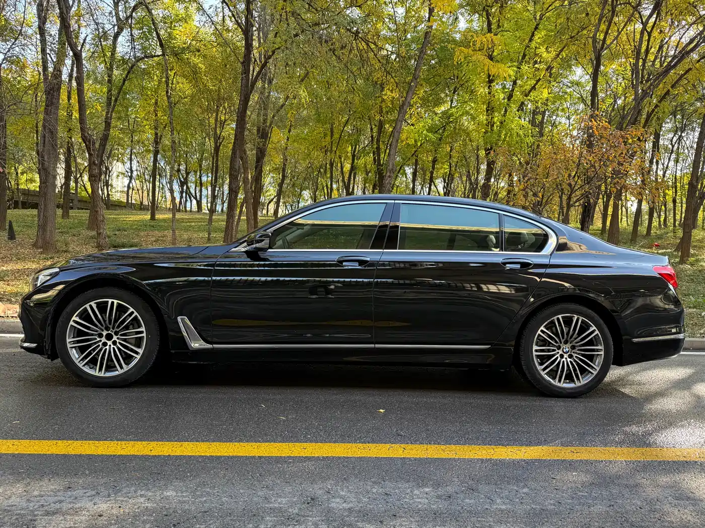 BMW 7 Series 2016 730Li Leading фото 3