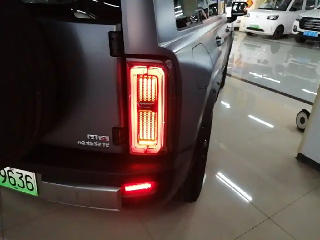 Haval Meng Long NEV 2026 Hi4 102 Premium фото 8