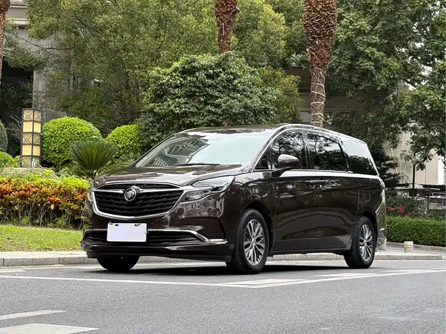 Buick GL8 ES Люкс, 653T, Престиж