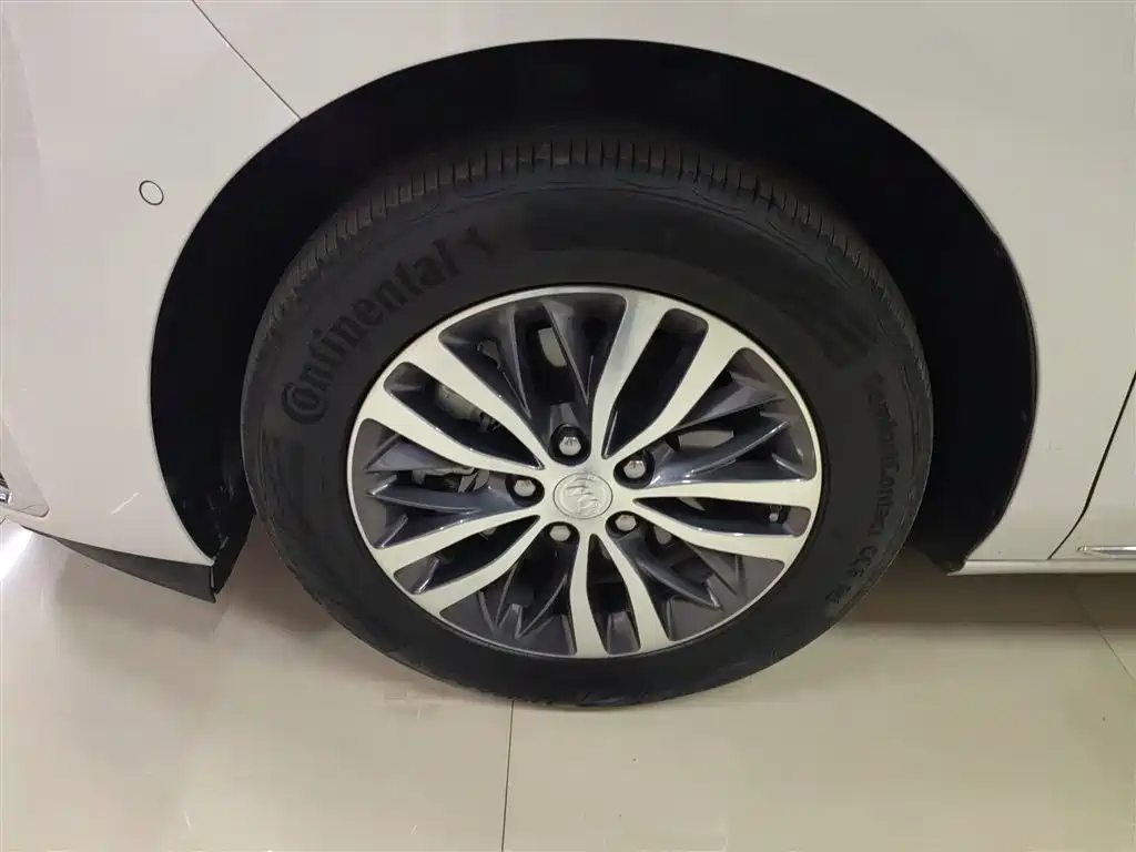 Buick GL8 2023 ES Landmaster Exclusive фото 23