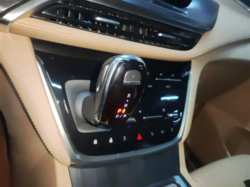 Buick GL8 2021 ES Landlord 653T Luxury фото 11