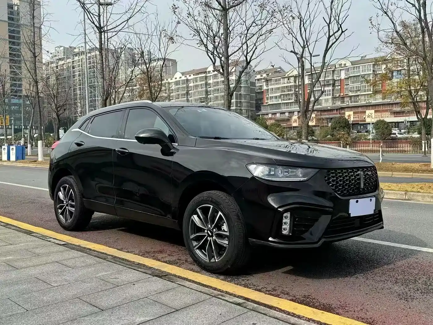 WEI PAI WEI BRAND VV5