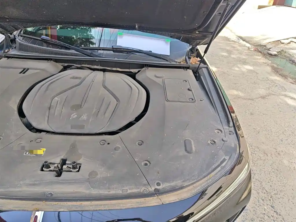 Hongqi H9 2020 2.0T Smart Connection Qi Xiang Edition фото 21