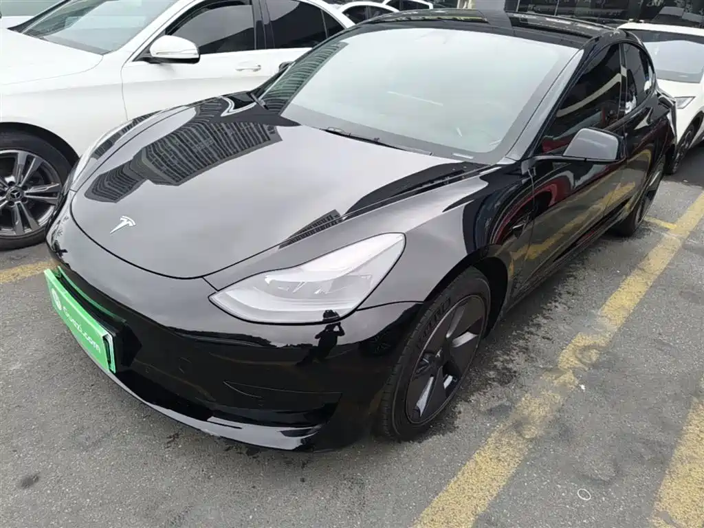 Tesla Model 3 2022 Model Rear-Wheel Drive Version
