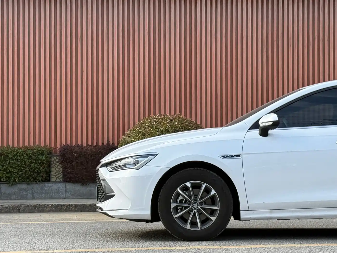 BYD Qin PLUS 2024 Glory Edition DM-i 55KM Leading фото 3