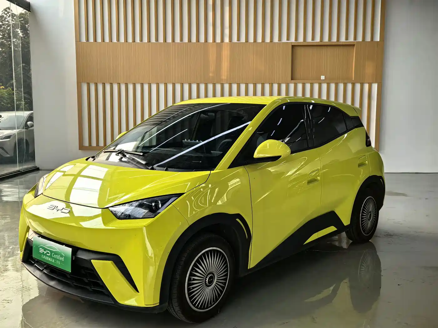 BYD Seagull 2023 2023 Vitality Edition