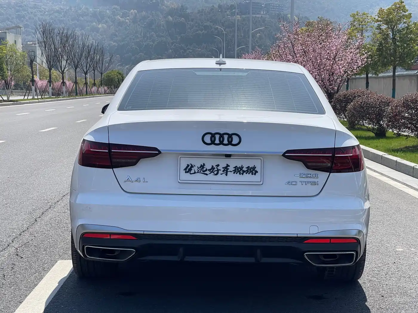 Audi A4L 2020 40 TFSI Fashion Dynamic Edition фото 12