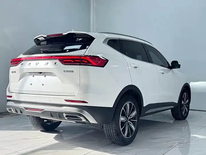 Haval H6 2023 National Trend Edition 1.5T Automatic Champion фото 7