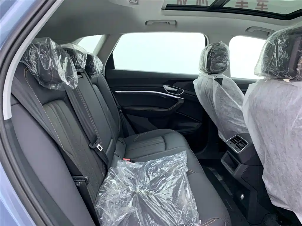 Audi e-tron 2021 50 quattro Luxury фото 15