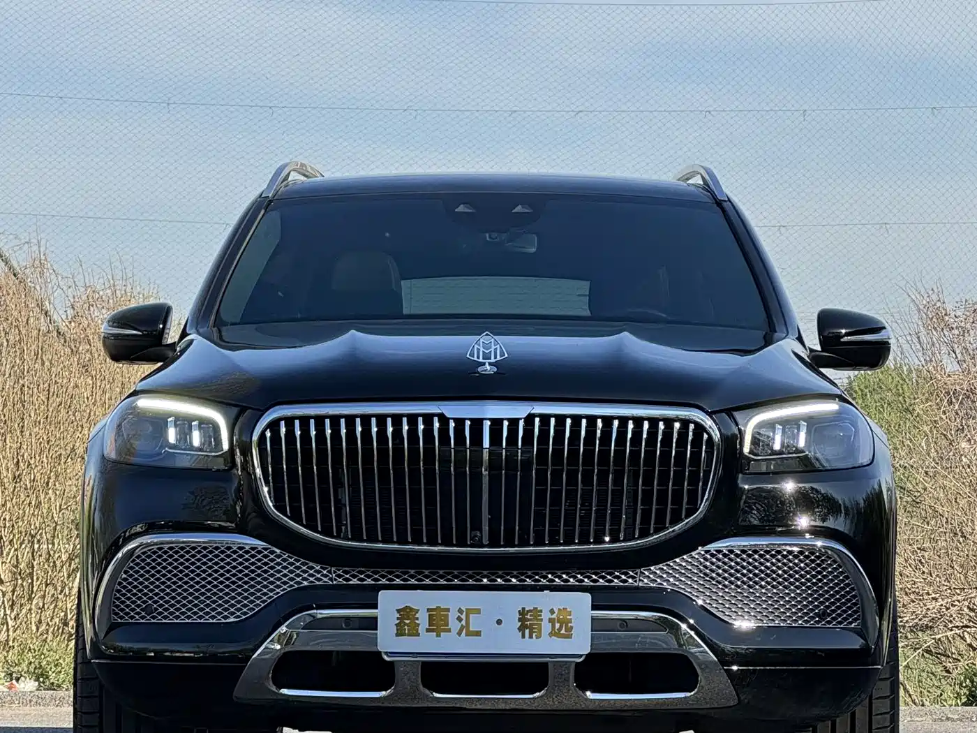 Mercedes-Benz GLS 2023 GLS 450 4MATIC Luxury Edition фото 3
