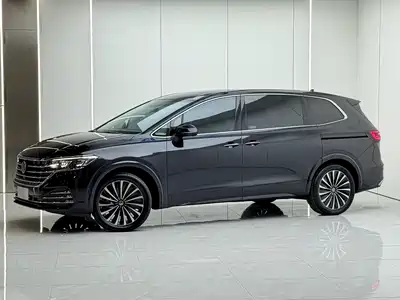 Volkswagen Viloran