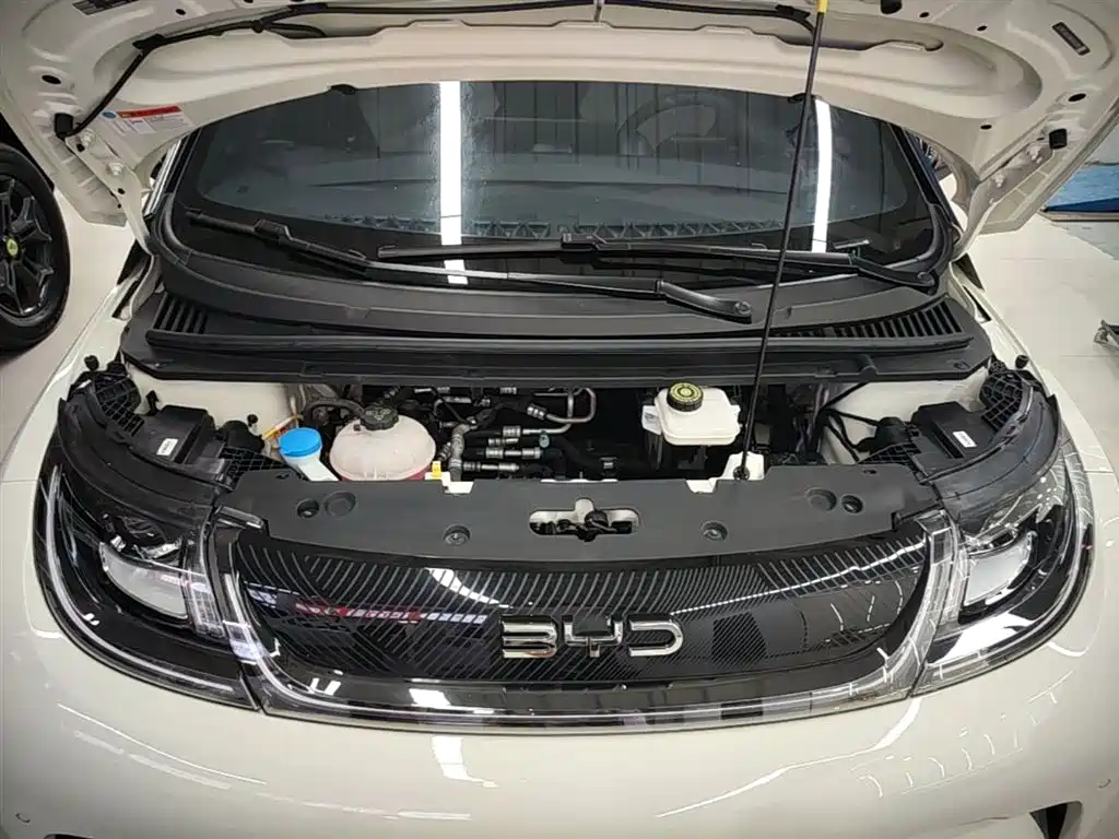 BYD Dolphin 2024 Glory Edition 420km Fashion Edition фото 20