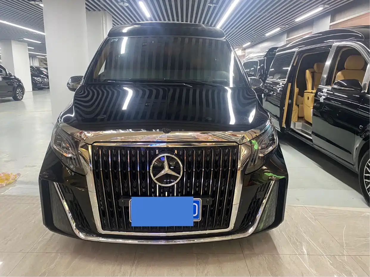 Mercedes-Benz Vito 2018 2.0T Business Edition China VI фото 2
