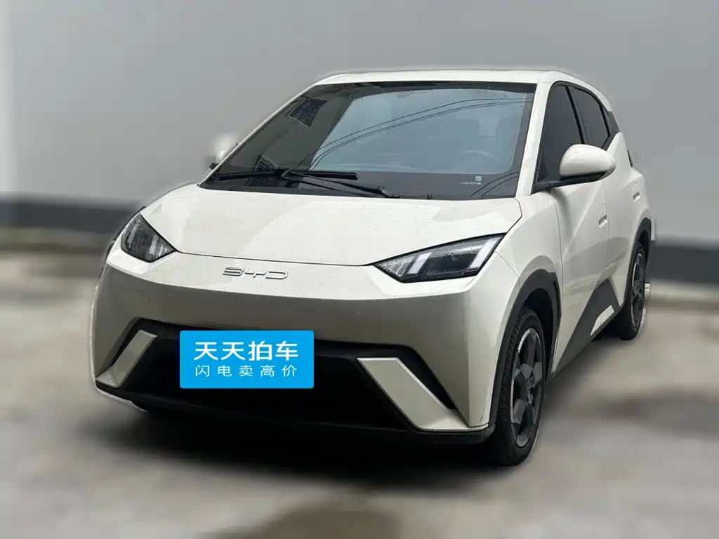 BYD Seagull 2024