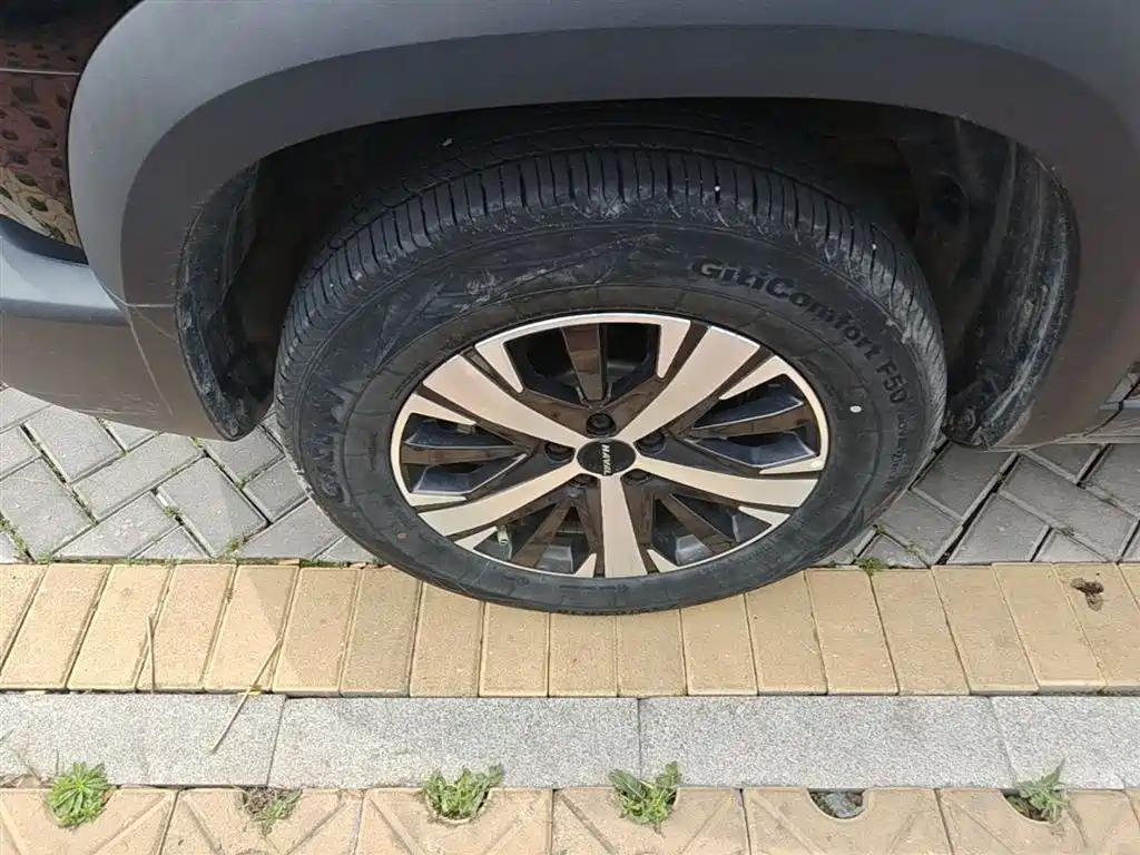 Haval Big Dog 2022 1.5T DCT FWD Labrador Edition фото 23