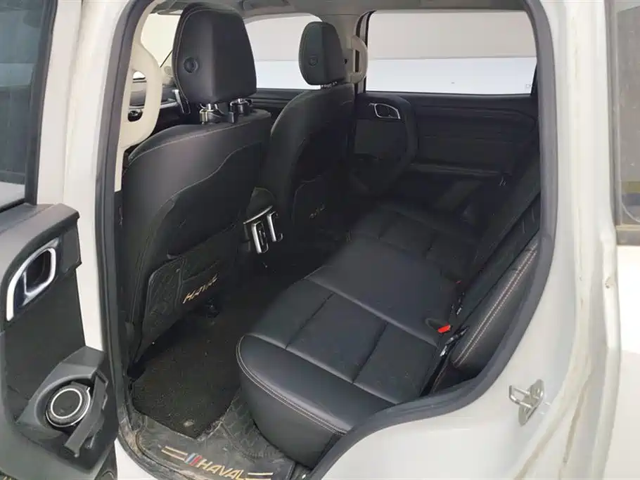 Haval Big Dog 2021 1.5T DCT 2WD Labrador Edition фото 11