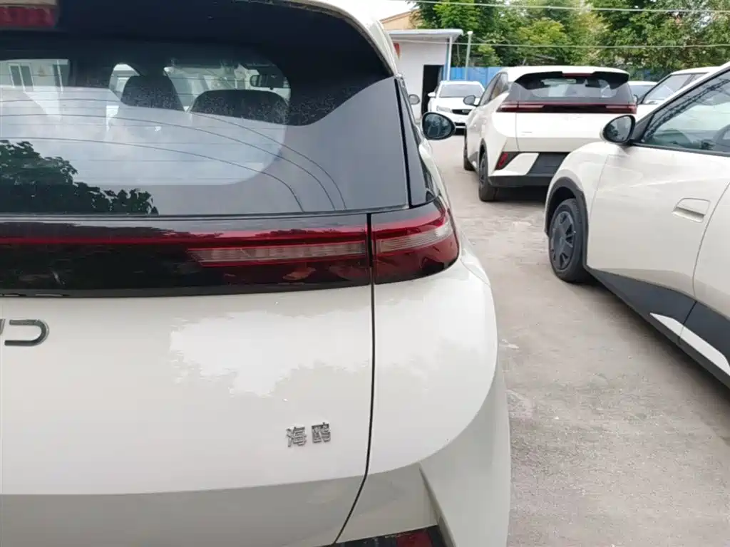 BYD Seagull 2025 Smart Drive Edition 305km Vitality Version фото 8