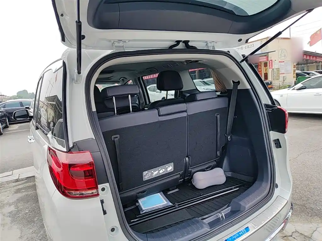 GAC Trumpchi Trumpchi M8 2023 Leading Series 390T Luxury Edition фото 19
