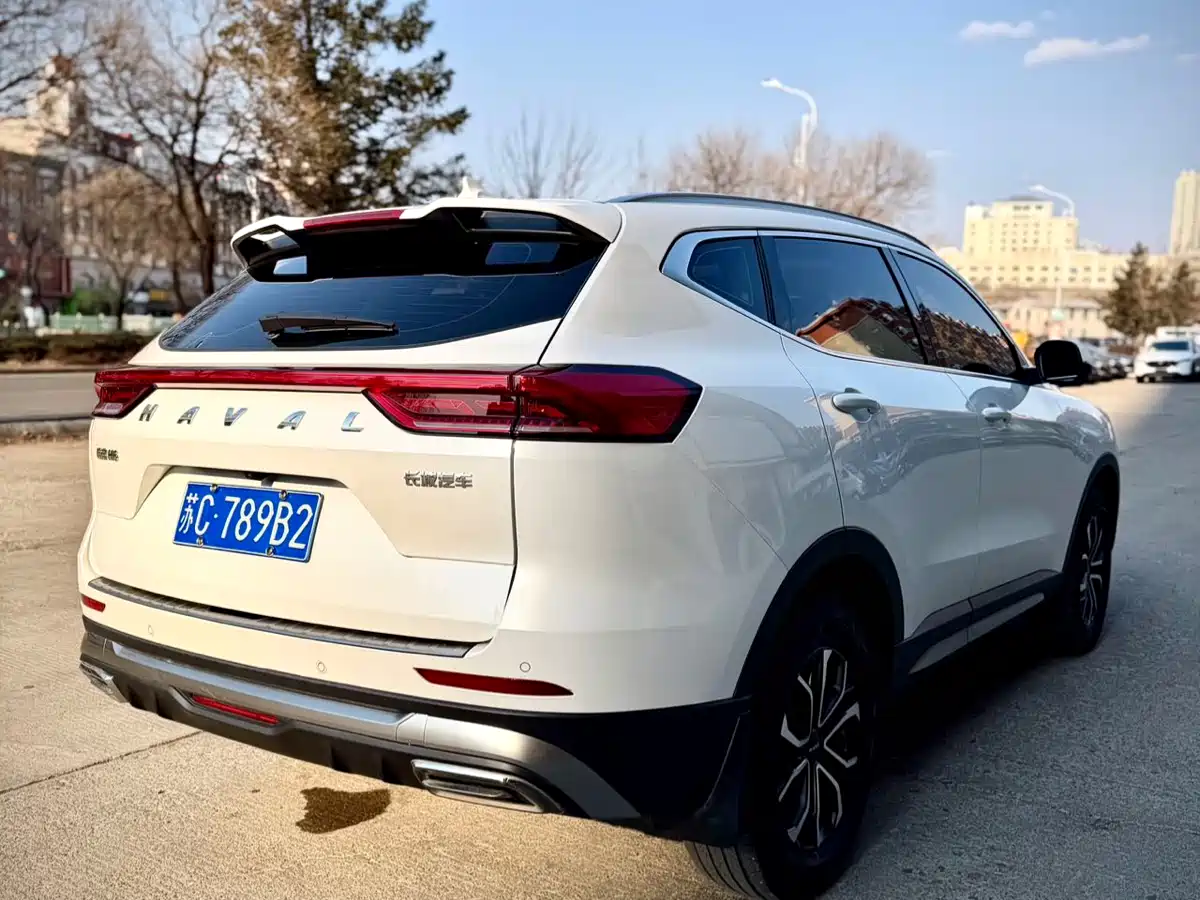 Haval H6 2023 National Trend Edition 1.5T Automatic Urban фото 6