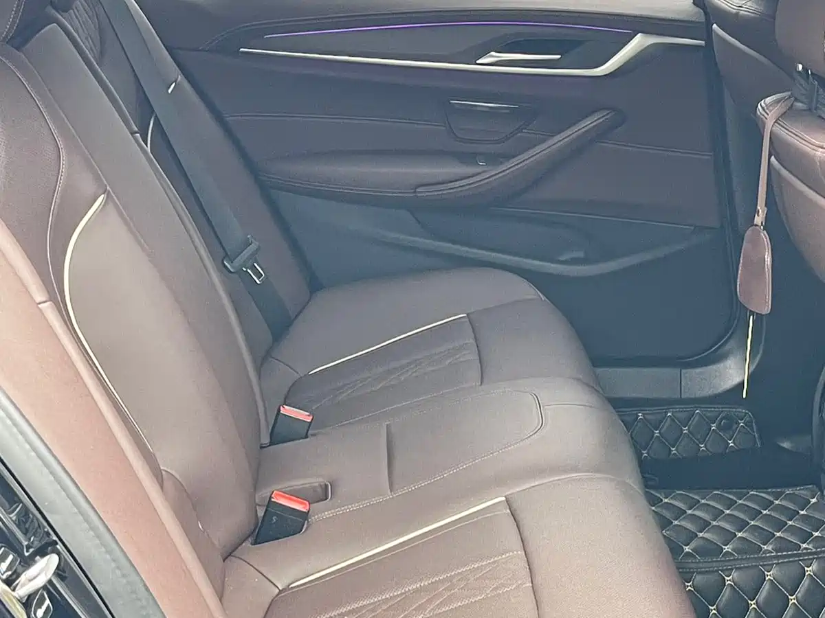 BMW 5 Series 2023 530Li Leading M Sport Package фото 8