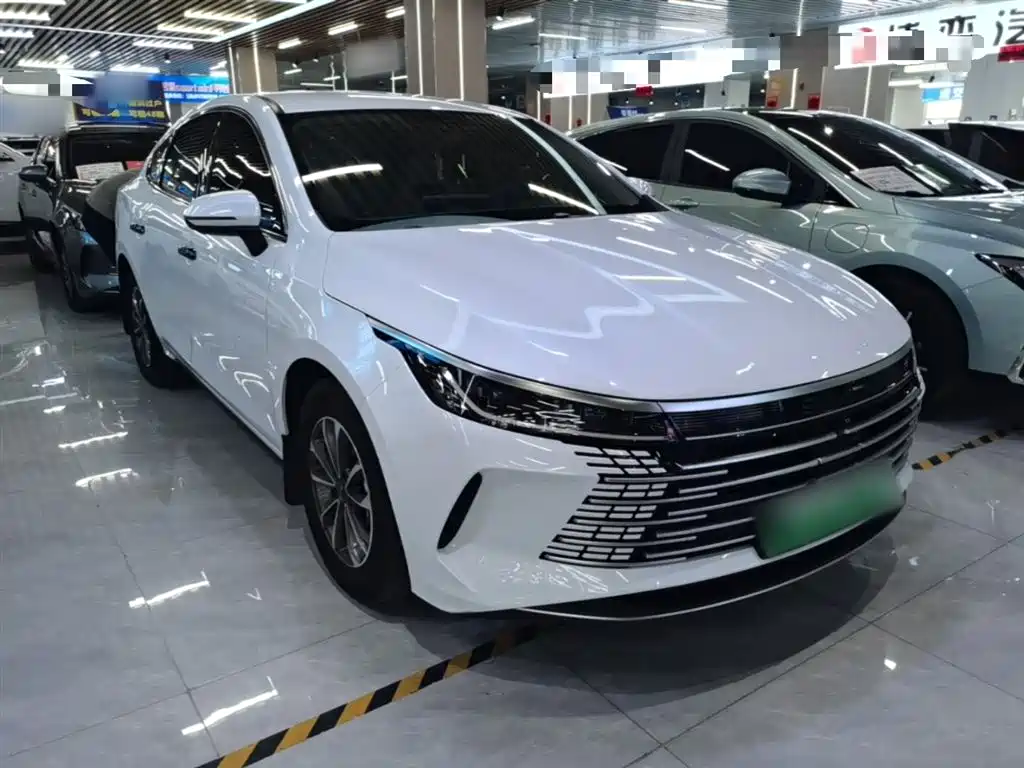 BYD Destroyer 05 2024 Glory Edition DM-i 55KM Luxury фото 4