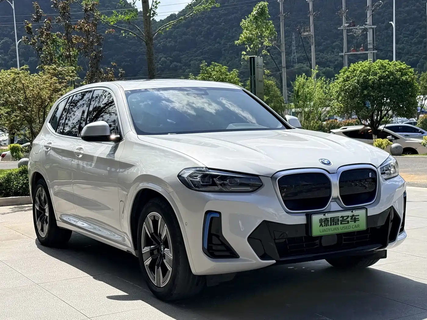 BMW iX3 2022 Leading Edition фото 3