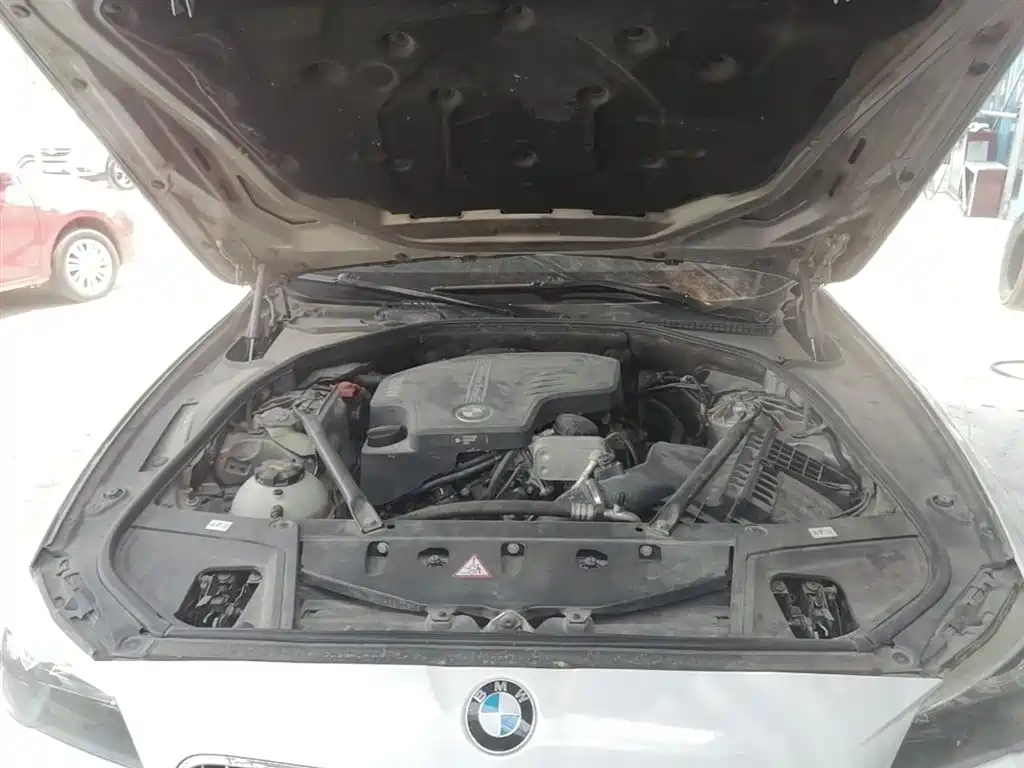 BMW 5 Series 2014 525Li Luxury Design Package фото 20